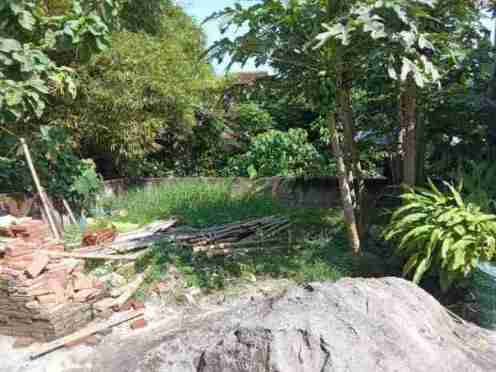 Harga Tanah Per Meter Di Pati Jawa Tengah